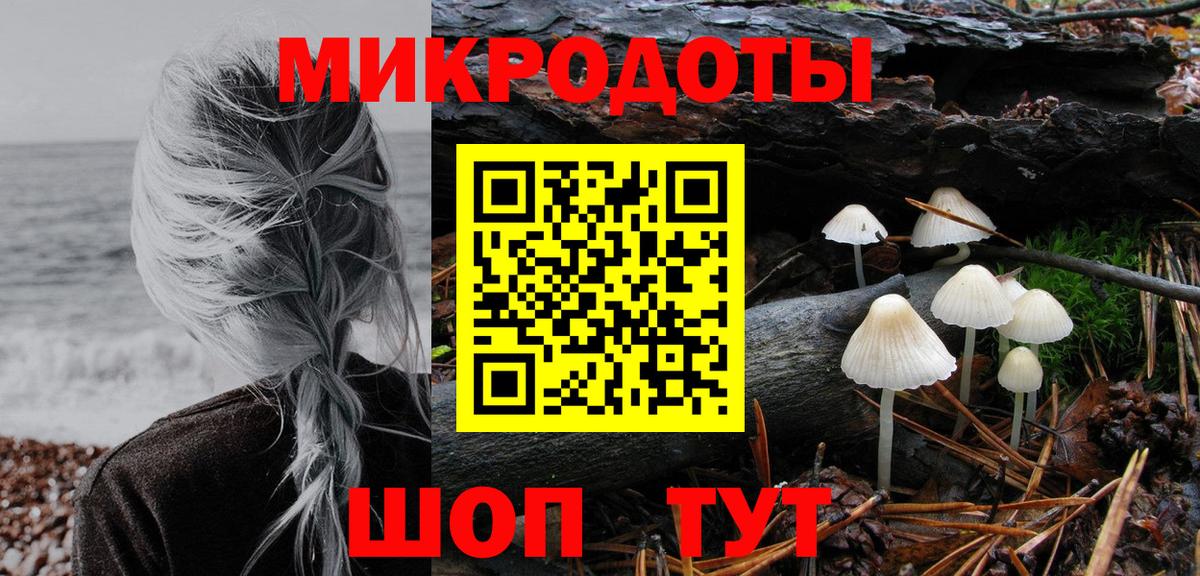 Галлюциногенные грибы ЛСД Сланцы