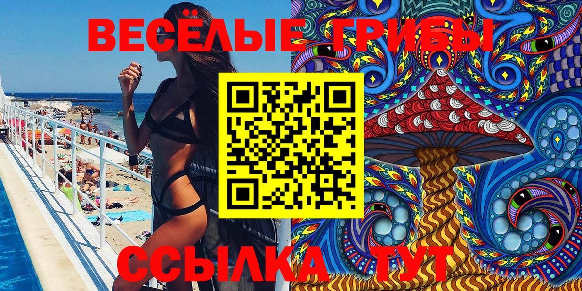 Галлюциногенные грибы мицелий  Вход с VPN  Галлюциногенные грибы Psilocybe  Сланцы 